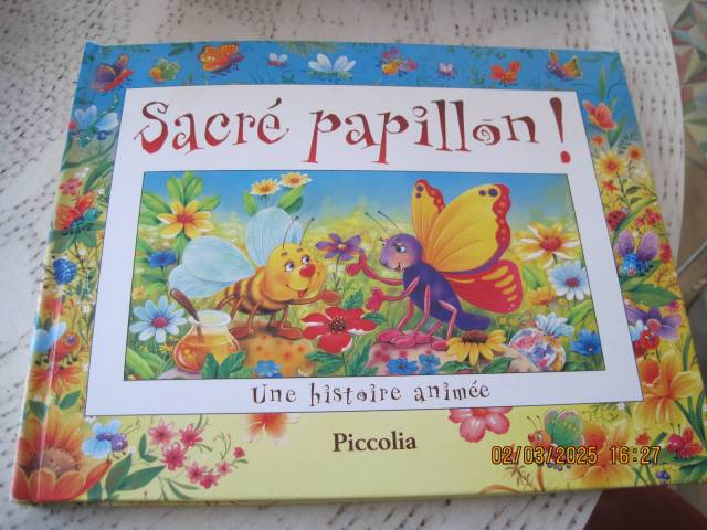 Livre Pop Up Sacr papillon Une histoire anime
