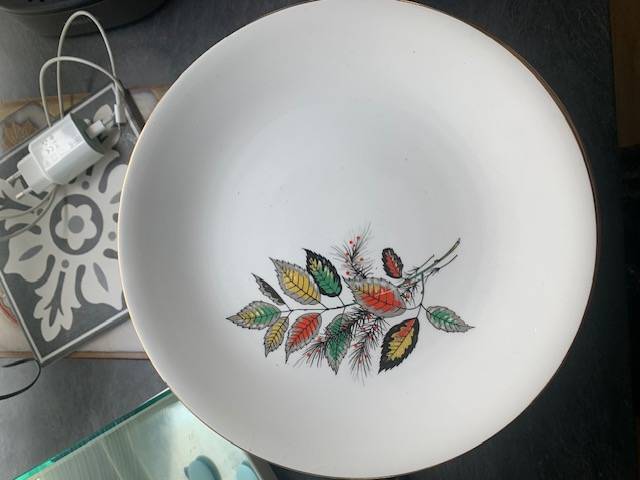  ASSIETTES PLATES ET CREUSES EN FAENCE DIGOIN SARREGUEMINES